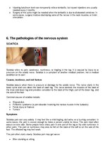 Konspekts 'Pathology Assignment', 18.