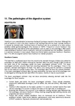 Konspekts 'Pathology Assignment', 42.