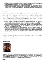 Konspekts 'Pathology Assignment', 43.