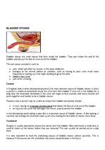 Konspekts 'Pathology Assignment', 49.