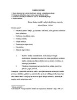 Konspekts 'Grupu diskusijas kā kvalitatīvā pētījuma metode', 2.