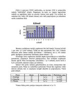 Konspekts 'IU veikals "eleFANtS"', 5.
