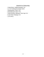 Referāts 'Cenu stratēģija uzņēmumā', 28.