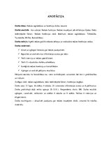 Referāts 'Redzes saglabāšanas un korekcijas iespējas skolas vecumā', 2.