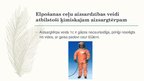 Prezentācija 'Elpošanas ceļu aizsardzības veidi atbilstoši ķīmiskā aizsargtērpa veidam', 14.