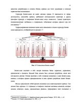 Diplomdarbs 'Анализ внутренней и внешней среды и план развития SIA "Izabella-D"', 19.
