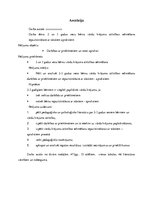 Diplomdarbs 'Divus un trīs gadus vecu bērnu vārdu krājuma attīstības sekmēšana iepazīstināšan', 2.