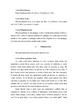 Diplomdarbs 'Divus un trīs gadus vecu bērnu vārdu krājuma attīstības sekmēšana iepazīstināšan', 33.