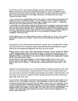 Konspekts 'Šubina tēls Gundegas Repšes romānā "Ugunszīme"', 2.