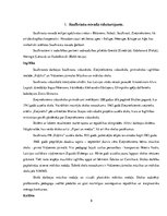 Referāts 'Saulkrastu novada pašvaldības budžeta analīze', 6.