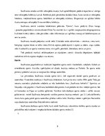 Referāts 'Saulkrastu novada pašvaldības budžeta analīze', 8.