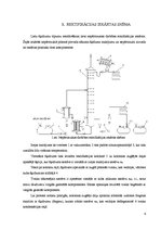 Paraugs 'Nepārtrauktas darbības rektifikācijas iekārta', 6.