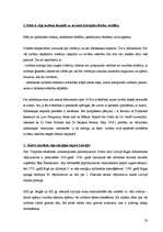 Referāts 'Alternatīvās enerģijas ieguves veids Latvijā. Vēja enerģija', 20.