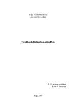 Referāts 'Tiesību doktrīnu loma tiesībās', 1.