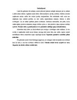 Konspekts 'Laba līdera pamatnoteikumi', 4.