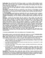 Konspekts 'Atbildes uz materiālmācības eksāmena jautājumiem', 5.