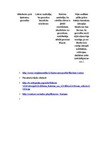 Konspekts 'Reformācijas pamatvirzieni', 3.