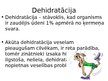 Prezentācija 'Ūdens nozīme organismā', 7.