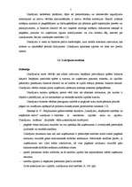 Referāts 'Uzkrājumi un to uzskaite grāmatvedībā', 5.