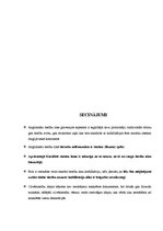 Referāts 'Tiesību avoti anglosakšu tiesību sistēmā', 19.