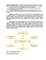 Konspekts 'Pildas pagasta lauku ambulances organizēšana un tās iekšējā vide', 4.