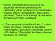 Prezentācija 'Trimdas kultūras izcilākie sasniegumi', 9.