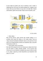 Referāts 'Mikroorganismi alus ražošanā', 10.