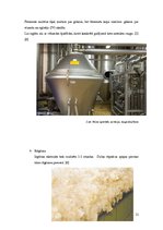 Referāts 'Mikroorganismi alus ražošanā', 11.