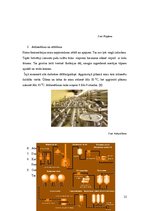 Referāts 'Mikroorganismi alus ražošanā', 12.