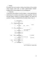 Referāts 'Mikroorganismi alus ražošanā', 15.