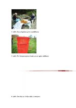 Biznesa plāns 'Biznesa plāns. Smiltsērkšķu audzēšana', 26.