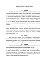 Referāts 'Mantiska rakstura noziegumi, izmantojot informācijas tehnoloģijas', 4.