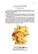 Referāts 'Starptautiskā tirdzniecība - Pure Food produkcijas eksports uz Vāciju', 6.