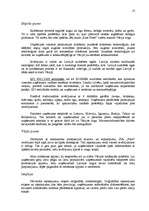 Referāts 'Starptautiskā tirdzniecība - Pure Food produkcijas eksports uz Vāciju', 13.