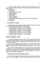 Referāts 'Starptautiskā tirdzniecība - Pure Food produkcijas eksports uz Vāciju', 23.