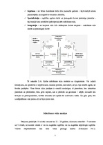 Referāts 'Mācīšanas stila noteikšana', 4.