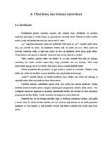 Konspekts 'Programmatūras uzturēšanas dokuments', 7.