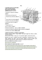 Konspekts 'Āda', 1.