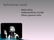 Prezentācija 'Alise Tīfentāle', 6.