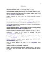 Referāts 'Datorspēļu izplatīšanas noteikumi', 13.