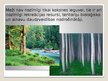Prezentācija 'Meža resursi', 6.