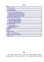 Referāts 'Rubika domino', 2.