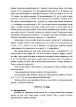 Referāts 'Rubika domino', 3.