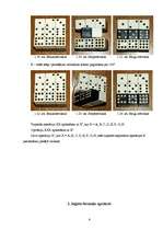 Referāts 'Rubika domino', 6.