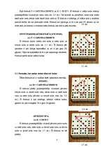 Referāts 'Rubika domino', 8.