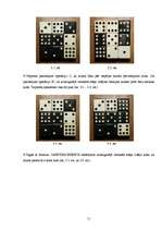 Referāts 'Rubika domino', 11.