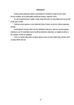 Referāts 'Rubika domino', 19.