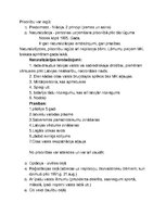 Konspekts 'Konstitucionālās tiesības. Pilsonība un personas statuss', 4.