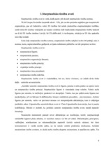 Referāts 'Starptautisko tiesību normu īstenošana', 4.