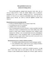 Referāts 'Tirgus modeļu struktūra', 8.